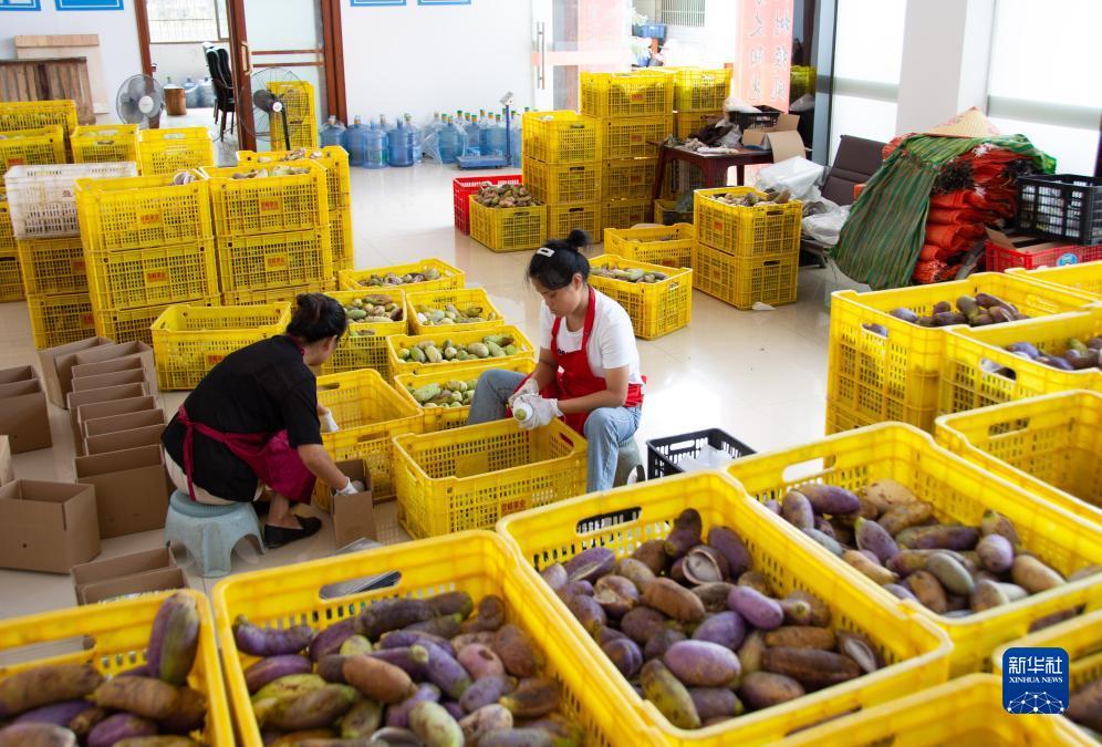 捕鱼大作战外挂下载